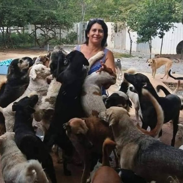 🐾 Rifa Solidária – Ajude a ONG que Cuida de Cães e Gatos Resgatados